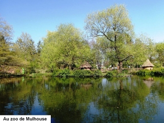 RIEDISHEIM - CIRCUIT DU TANNENWALD-haut-rhin