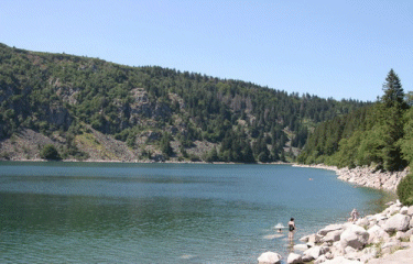 CIRCUIT DE LA TETE DES FAUX-haut-rhin