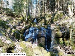 SOULTZ - KOHLSCHLAG - SUDEL - HOLTZWASEN-haut-rhin