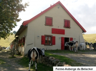 MOOSCH - DREIMARKSTEIN - BELACKER - KOLABI-haut-rhin