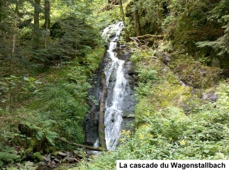 SEWEN - TETE DES REDOUTES - GRAND LANGENBERG-haut-rhin