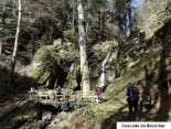 RANSPACH - MARKSTEIN - TREH-haut-rhin