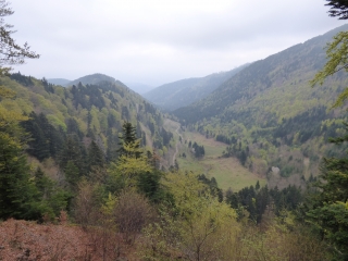 MOLLAU - COL DES PERCHES-haut-rhin