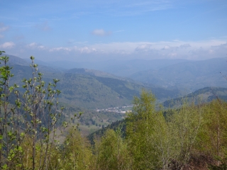 MOLLAU - COL DES PERCHES-haut-rhin