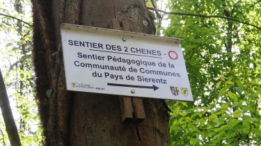 SCHLIERBACH - SENTIER DES DEUX CHENES-haut-rhin