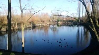 KINGERSHEIM - LA PROMENADE VERTE-haut-rhin