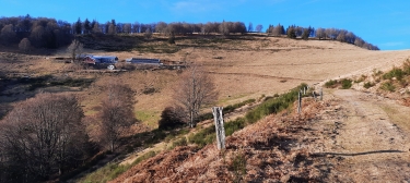 FELLERING - LE WINTERGESWAND-haut-rhin