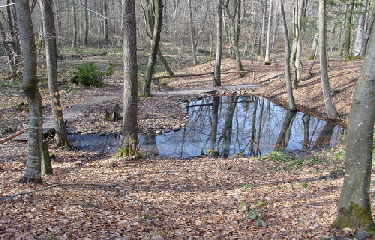 WERENTZHOUSE - DURMENACH-haut-rhin