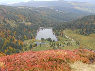 LAC VERT - LAC DES TRUITES - LAC NOIR - LAC BLANC-haut-rhin