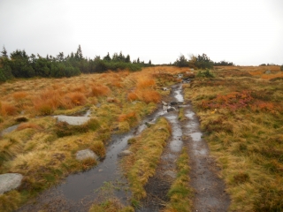LAC VERT - LAC DES TRUITES - LAC NOIR - LAC BLANC-haut-rhin