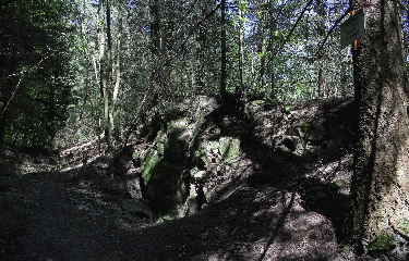 VESTIGES DE 14-18-haut-rhin