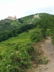 RIBEAUVILLE - SUR LES TRACES DES RIBEAUPIERRE-haut-rhin
