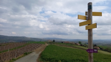 DE LA VALLEE DU SOANAN A LA VALLEE DE L AZERGUES-rhone