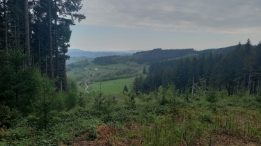 LA VILLE : UNE BELLE BOUCLE DANS LES FORêTS DE RéSINEUX ET LES MYRTILLIERS.-rhone