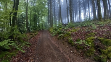 LA VILLE : DE LA VILLE AU COL DE LA BûCHE, RETOUR PAR LE MéMORIAL DU MAQUIS.-rhone