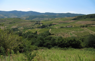 Vaux-en-Beaujolais-rhone