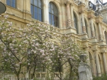LYON - BALADE DES MAGNOLIAS-rhone