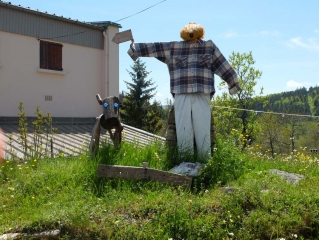 CHEMIN DE STEVENSON - ETAPE 6-ardeche
