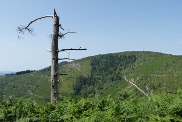 PAILHARES - CIRCUIT DES 3 COLS-ardeche