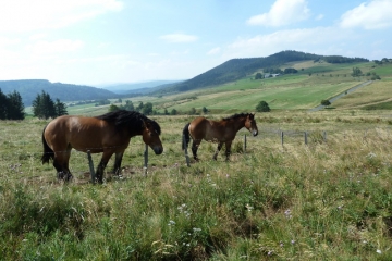 LE BEAGE - LE MONTFOL ET LA LAUZIERE-ardeche