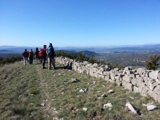 FORET DE L ESCRINET-ardeche