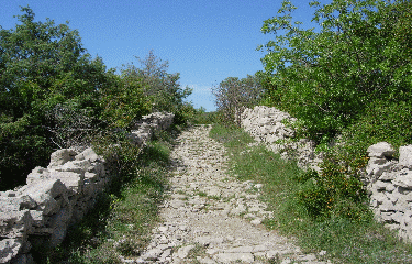 RIVIERE BEAUME-ardeche