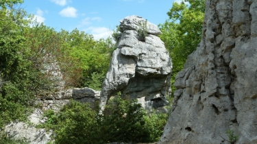 BOIS DE PAIOLIVE - BERIAS-ardeche