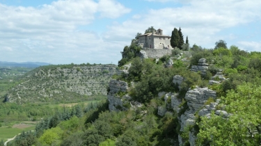 BOIS DE PAIOLIVE - BERIAS-ardeche