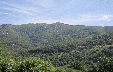 BURZET - SAINT-PIERRE-DE-COLOMBIER-ardeche