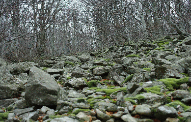 LE MONT-AIGU-ardeche