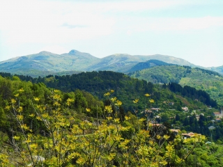 THIEURE - ST-ANDEOL-DE-VALS-ardeche