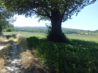 BOURG-ST-ANDEOL-ardeche