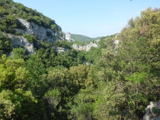BOURG-ST-ANDEOL - BOIS DU LAOUL -ardeche