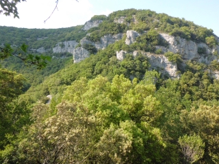 BOURG-ST-ANDEOL - BOIS DU LAOUL -ardeche