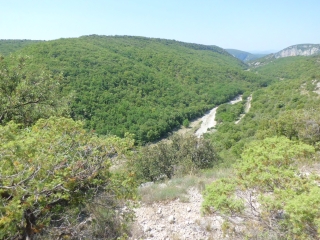 ST  REMEZE - RAVIN DE COMBE LONGUE-ardeche