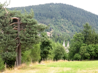 LALOUVESC - SUC DE MIRABEL AU MONT BESSET PAR LA SCIE ET BABIGNIEUX-ardeche