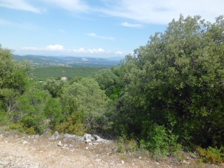 AU SUD DE SAINT-MONTANT -ardeche