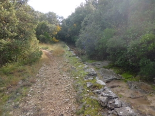 BOURG ST ANDEOL - COMBE DES ACACIAS-ardeche