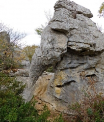 BERRIAS - LE BOIS DE PAIOLIVE (2)-ardeche