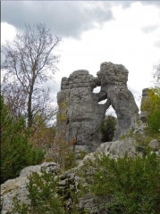 BERRIAS - LE BOIS DE PAIOLIVE (2)-ardeche