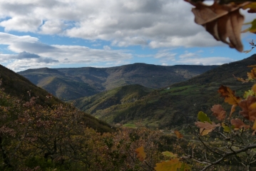 BOIS DE BARRES-ardeche