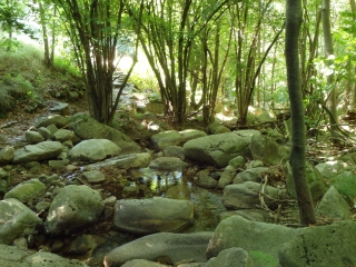 AU PAYS DE L EAU SAUVAGE-ardeche