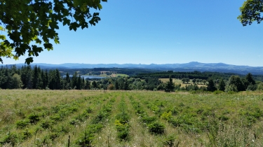DEVESSET - LAC DE DEVESSET -ardeche