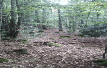 LE CROS DU LOUP - RIEUTORD-ardeche