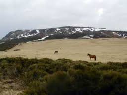 SUCS DE LA LAUZIERE ET DE MONTFOL-ardeche