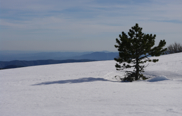La croix de Bauzon en raquettes-ardeche