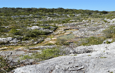 JOYEUSE - BOURBOUILLET-ardeche