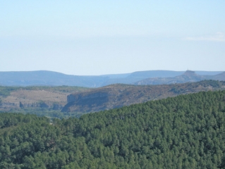 RIBES - TERRE ROUGES-ardeche