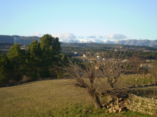 FORET DE BEAUZONS-ardeche