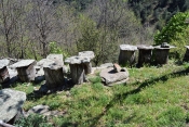 BRAHIC - LA CHAM DE MALBOSQUET-ardeche